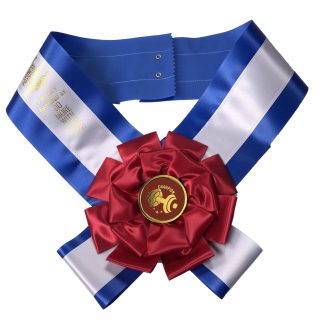 Fitness Champion Rosette