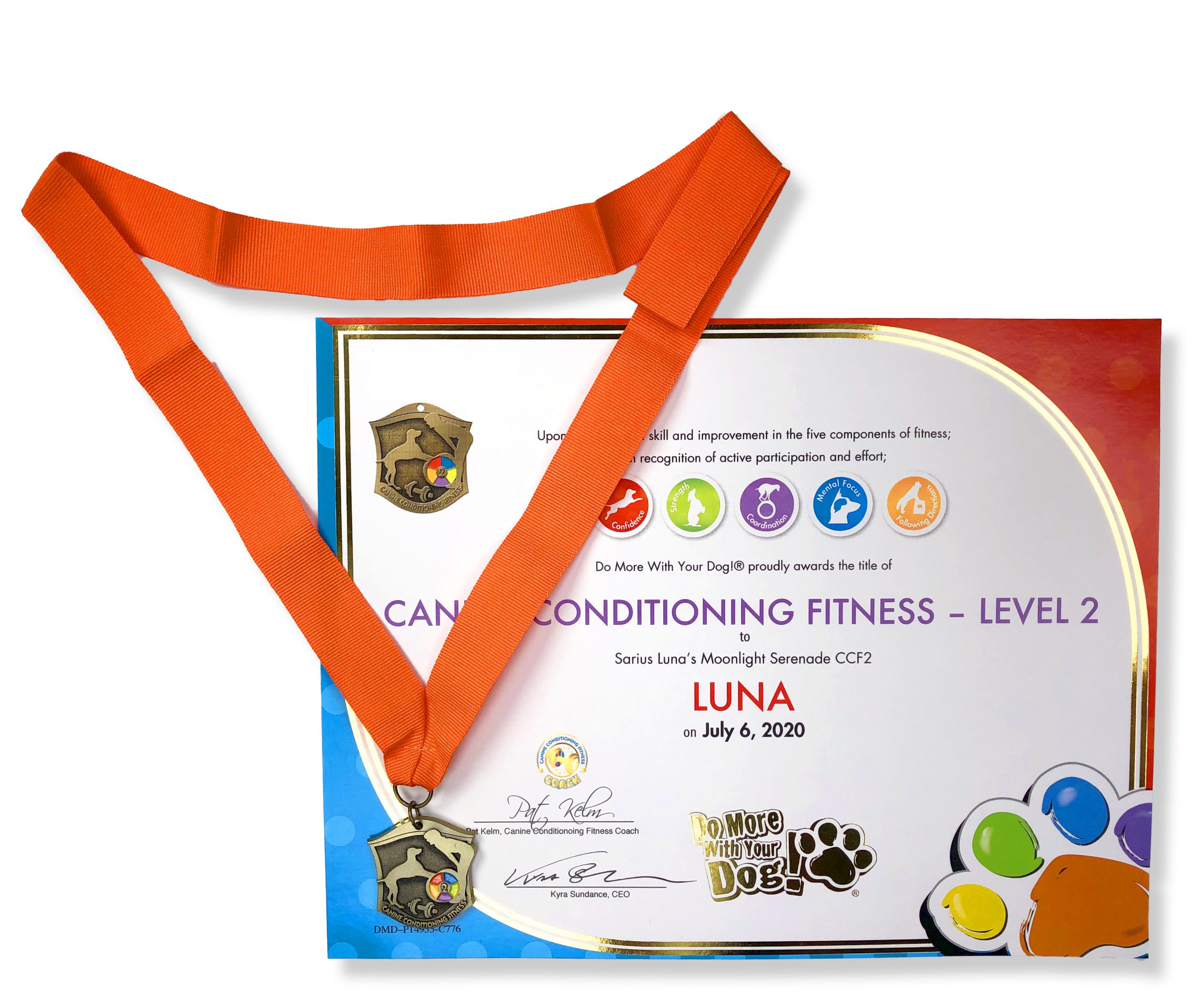 🏋🏼♀️Canine Conditioning Fitness Title - Image 2