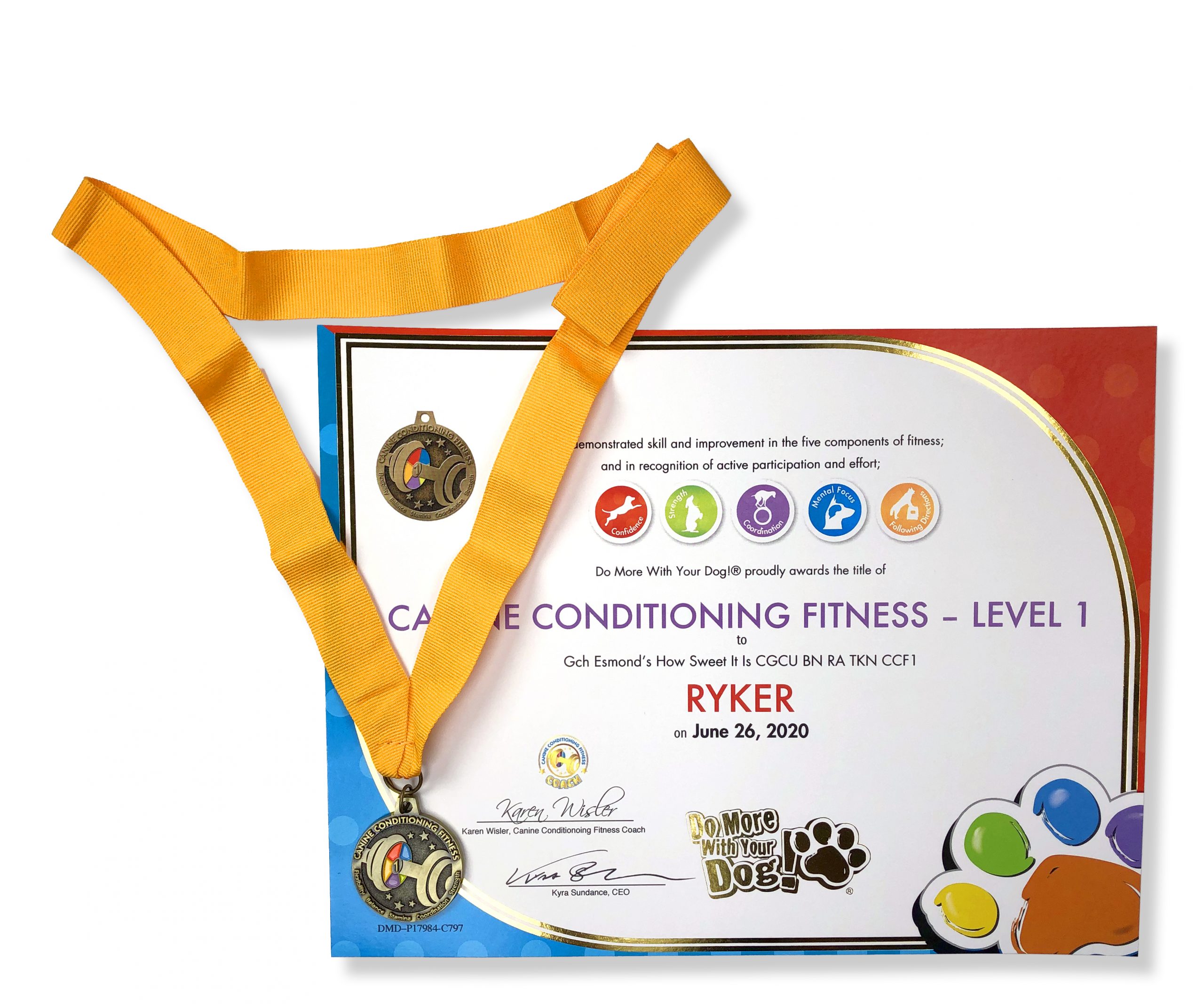 🏋🏼♀️Canine Conditioning Fitness Title - Image 3