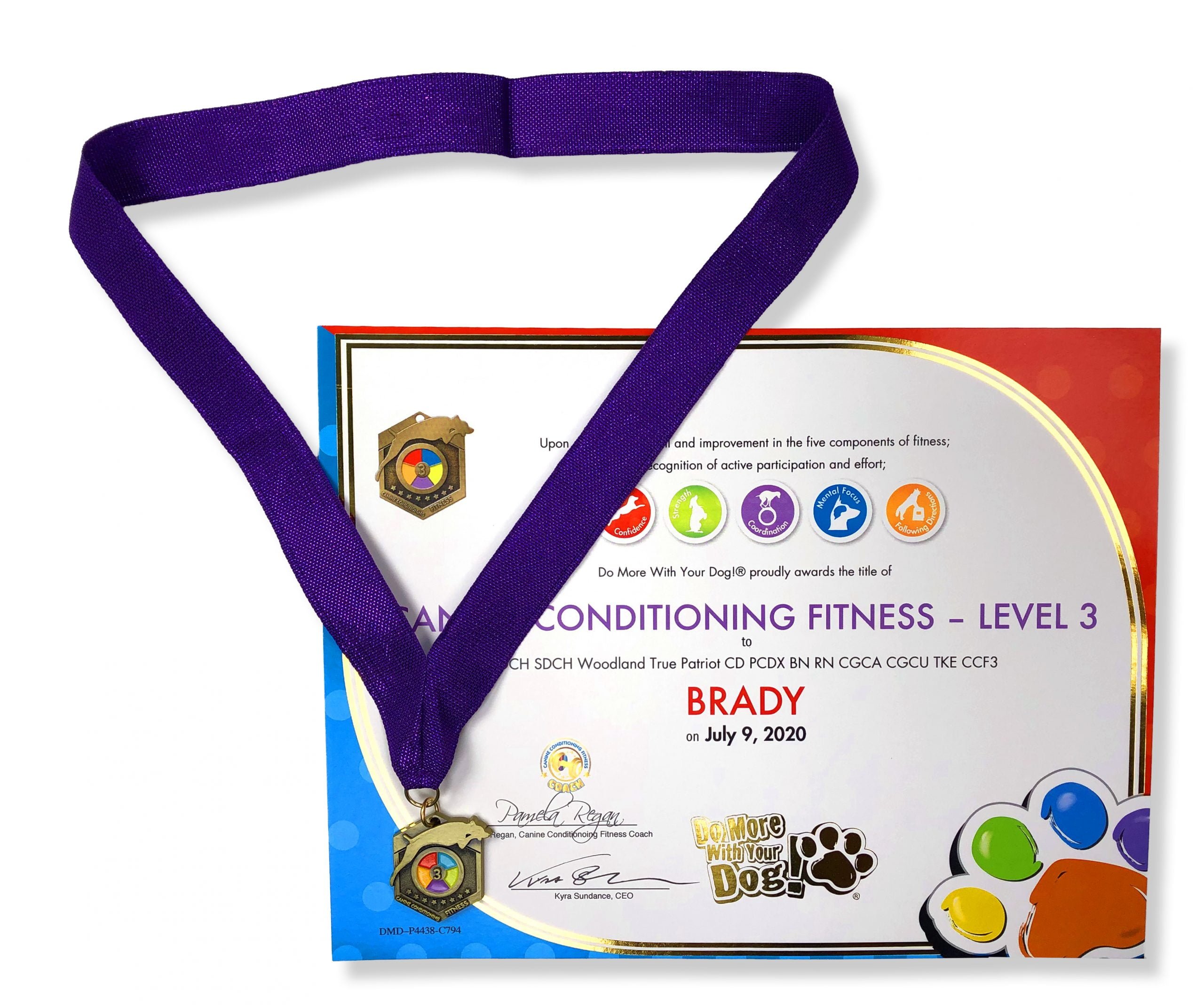 🏋🏼♀️Canine Conditioning Fitness Title - Image 4