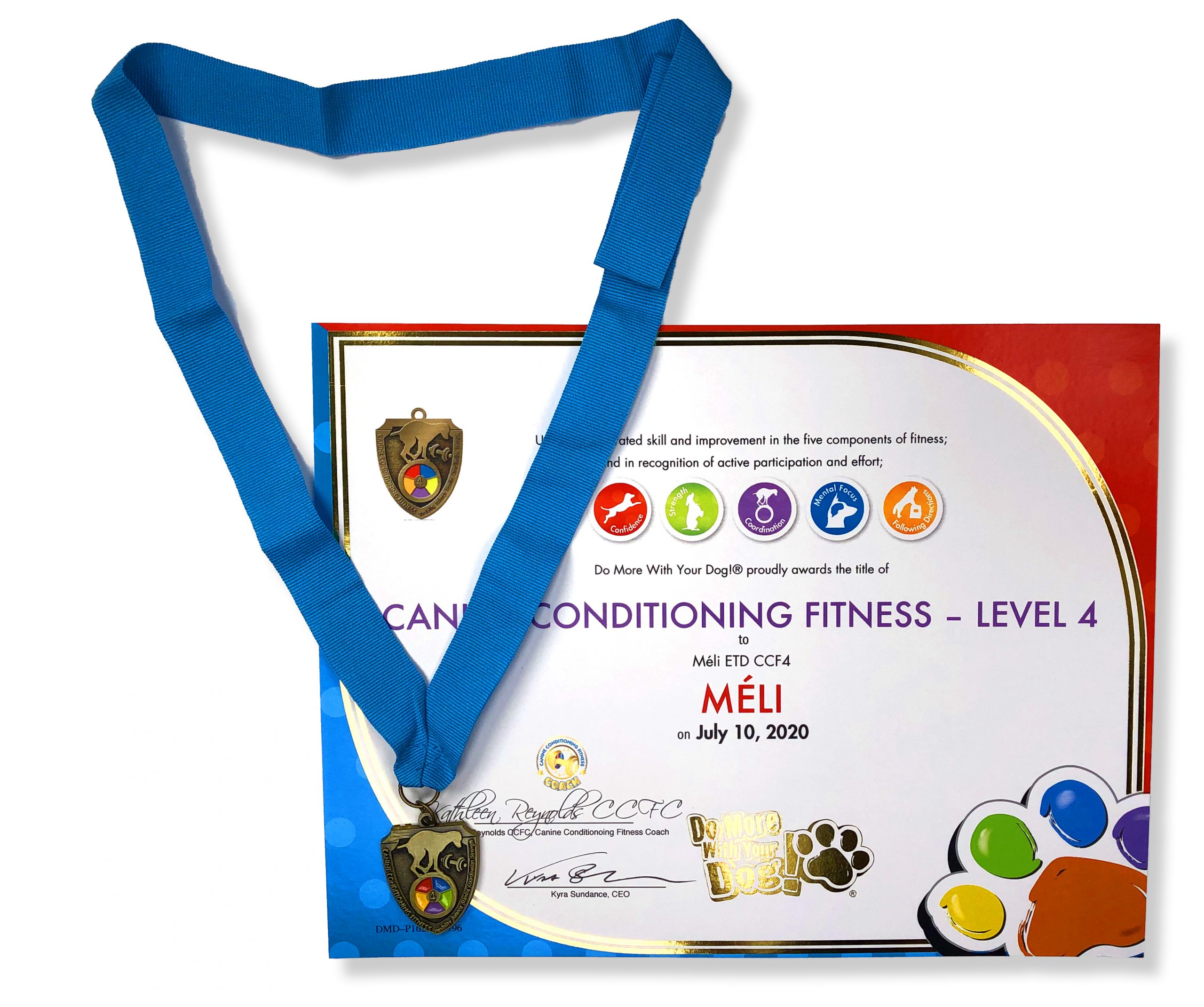 🏋🏼♀️Canine Conditioning Fitness Title - Image 5