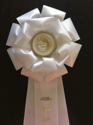 Register of Merit (TD-ROM) Rosette