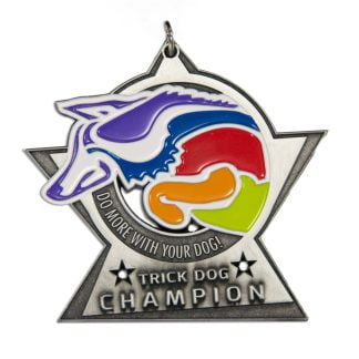 Champion Medal