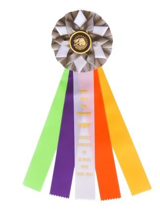 TDCH Champion Rosette