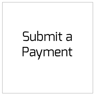 Submit a payment