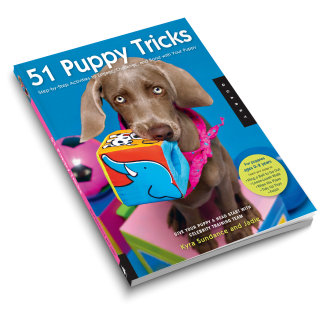 51 Puppy Tricks