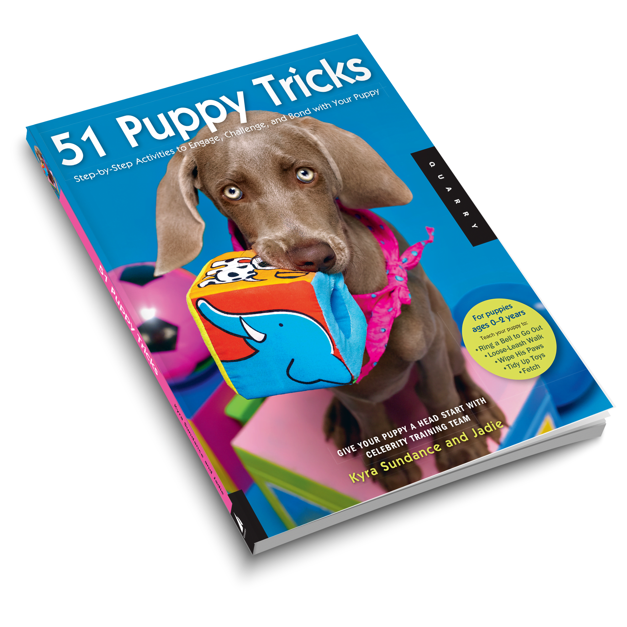 51 Puppy Tricks