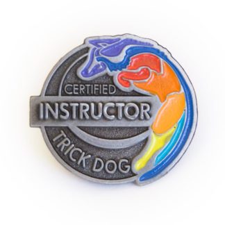 CTDI official Lapel Pin