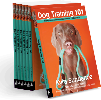 Dog Training 101