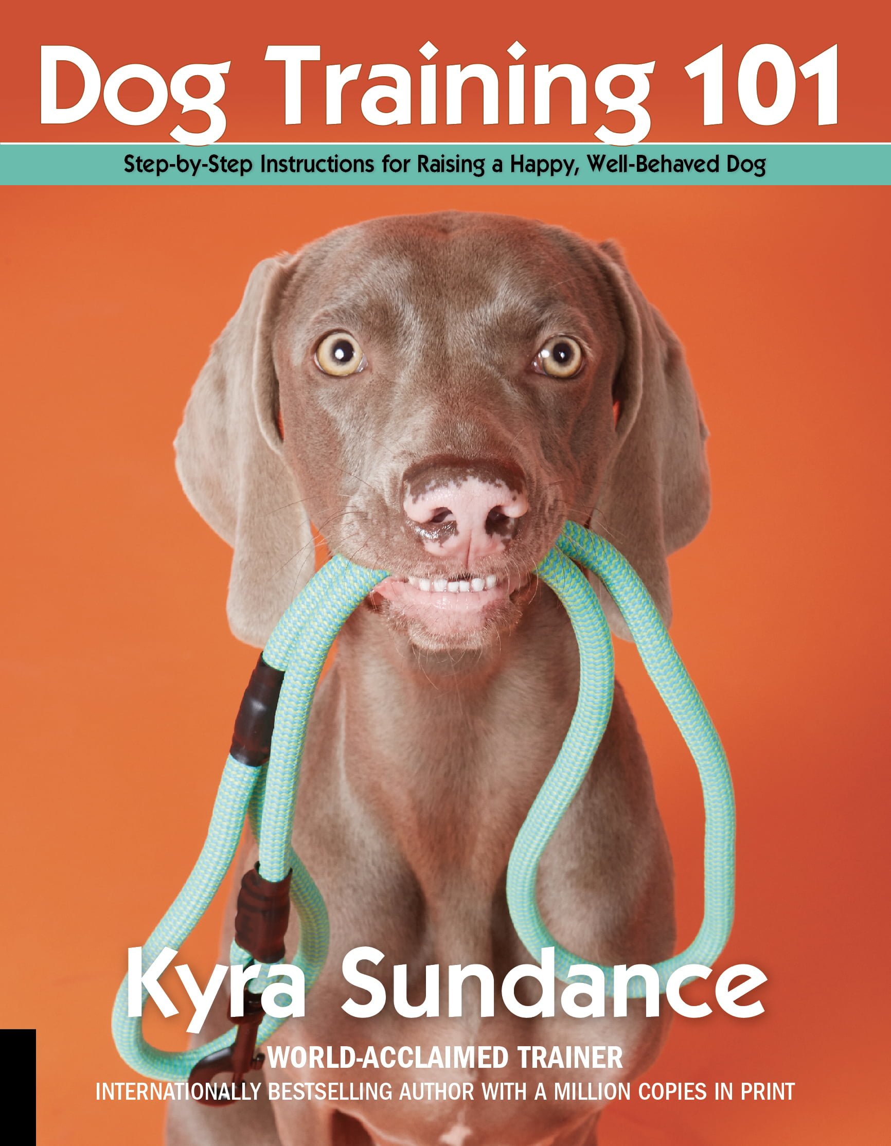 Dog Training 101 - Image 3