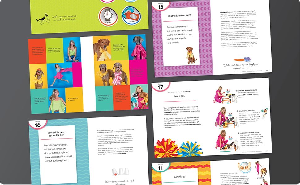 The Joy of Dog Training - Image 9