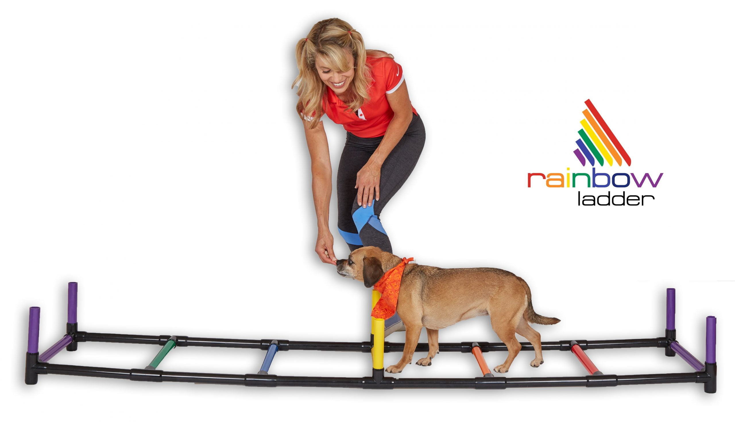 Rainbow Ladder π - Image 4