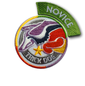 Title Patch: Center + Novice