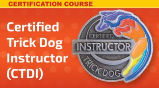 CTDI Certification Master Class