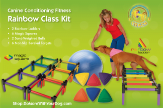 Rainbow Class Kit - Half