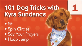 101 Dog Tricks with Kyra Sundance (#1) Master Class