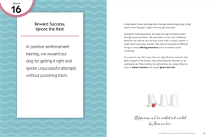 The Joy of Dog Training - Image 5