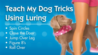 Teach Dog Tricks Using Luring