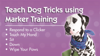 Teach Dog Tricks Using Marker Training