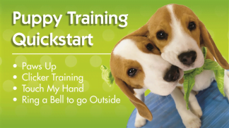 Puppy Training Quickstart