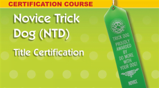 Novice Trick Dog - personal coach and title