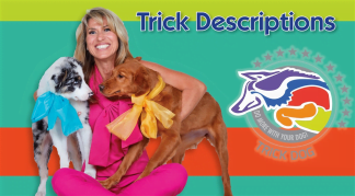 π Dog Tricks Descriptions