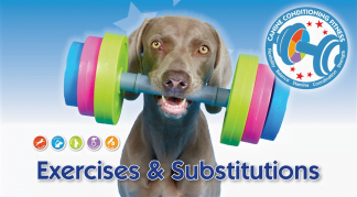 π Canine Fitness Exercise Descriptions