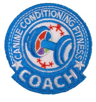 CCFC Patch