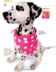 51 Puppy Tricks - Image 4