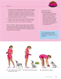 51 Puppy Tricks - Image 5
