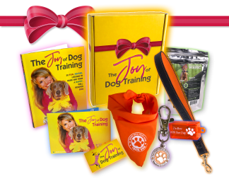 Box of Joy Gift Pack