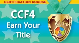 CCF4 - personal coach and title