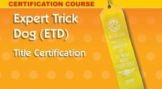 Expert Trick Dog - personal coach and title