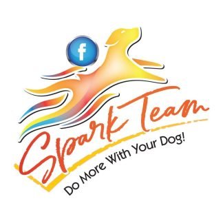 Add/Update Your Spark Team Listing