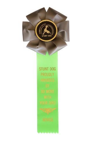 Novice Stunt Dog (NSD) Rosette