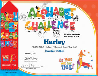 Alphabet Certificate & Ribbon