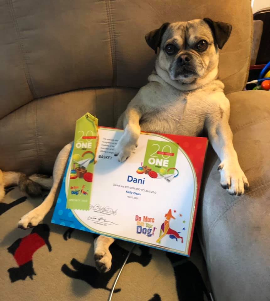 20 Dog Tricks: One Prop - Image 2