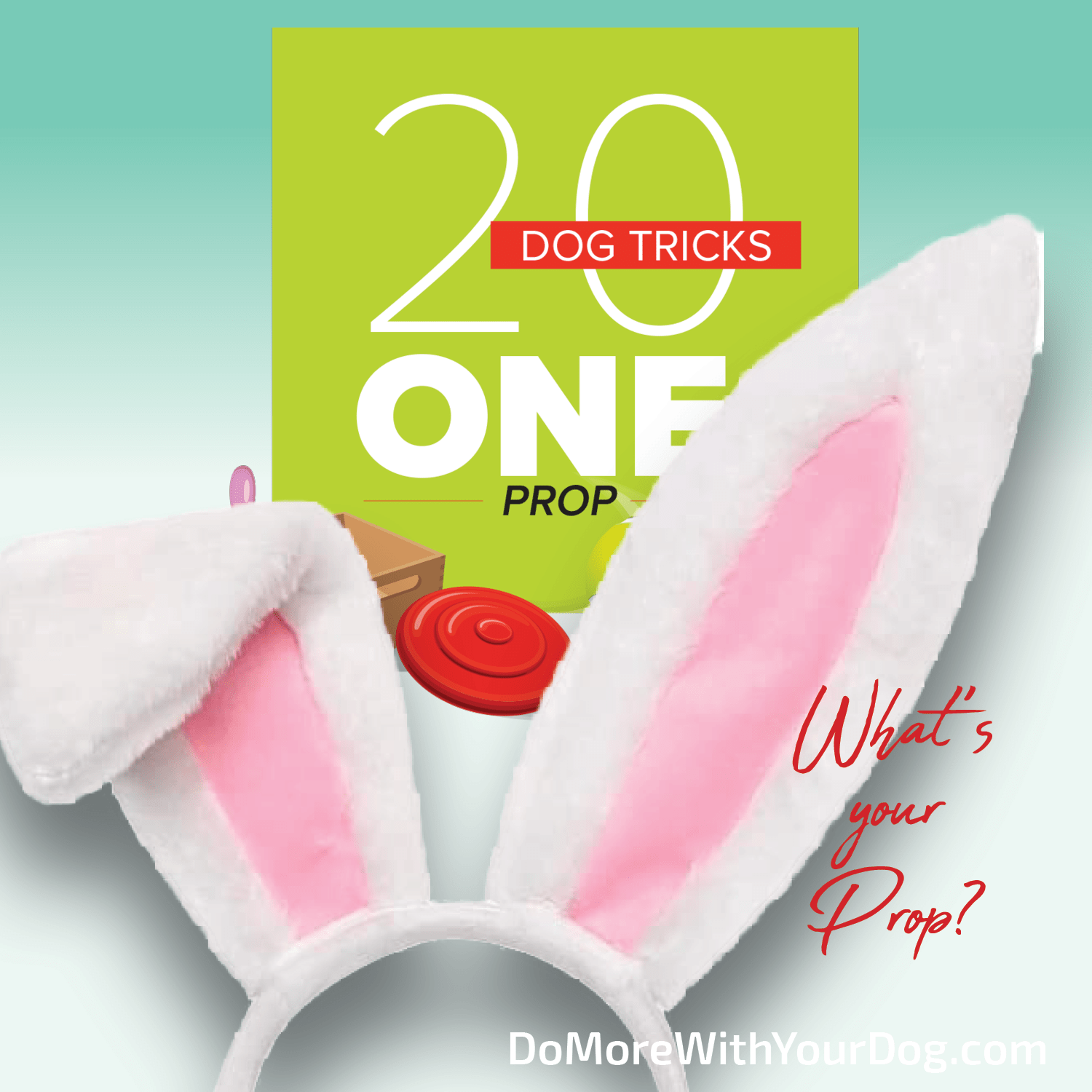 20 Dog Tricks: One Prop - Image 8