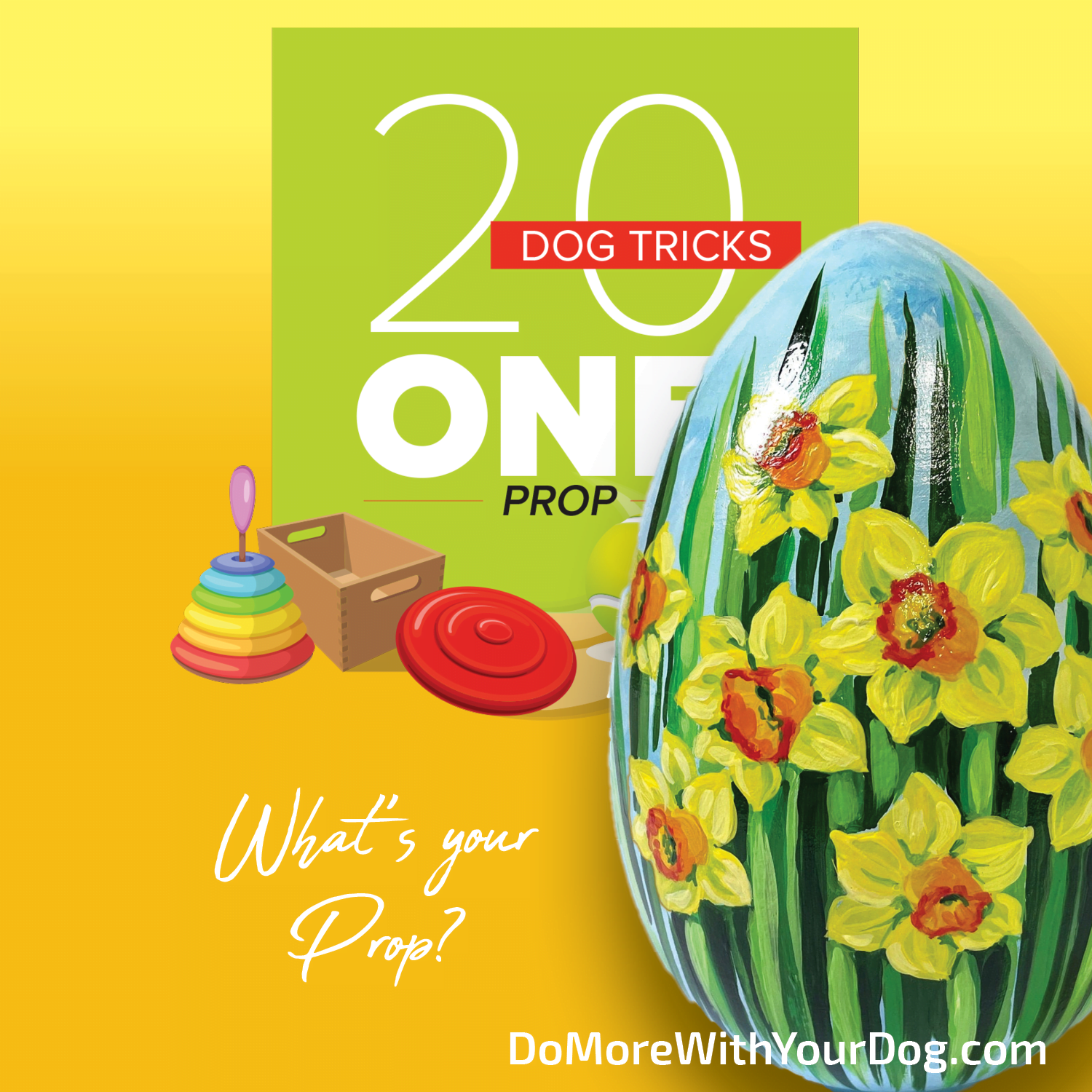 20 Dog Tricks: One Prop - Image 9