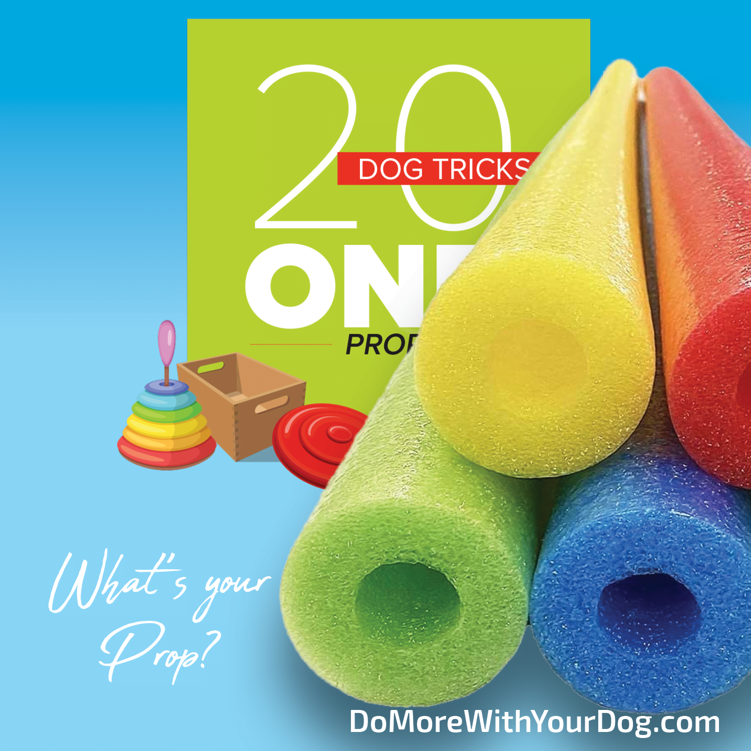 20 Dog Tricks: One Prop - Image 10