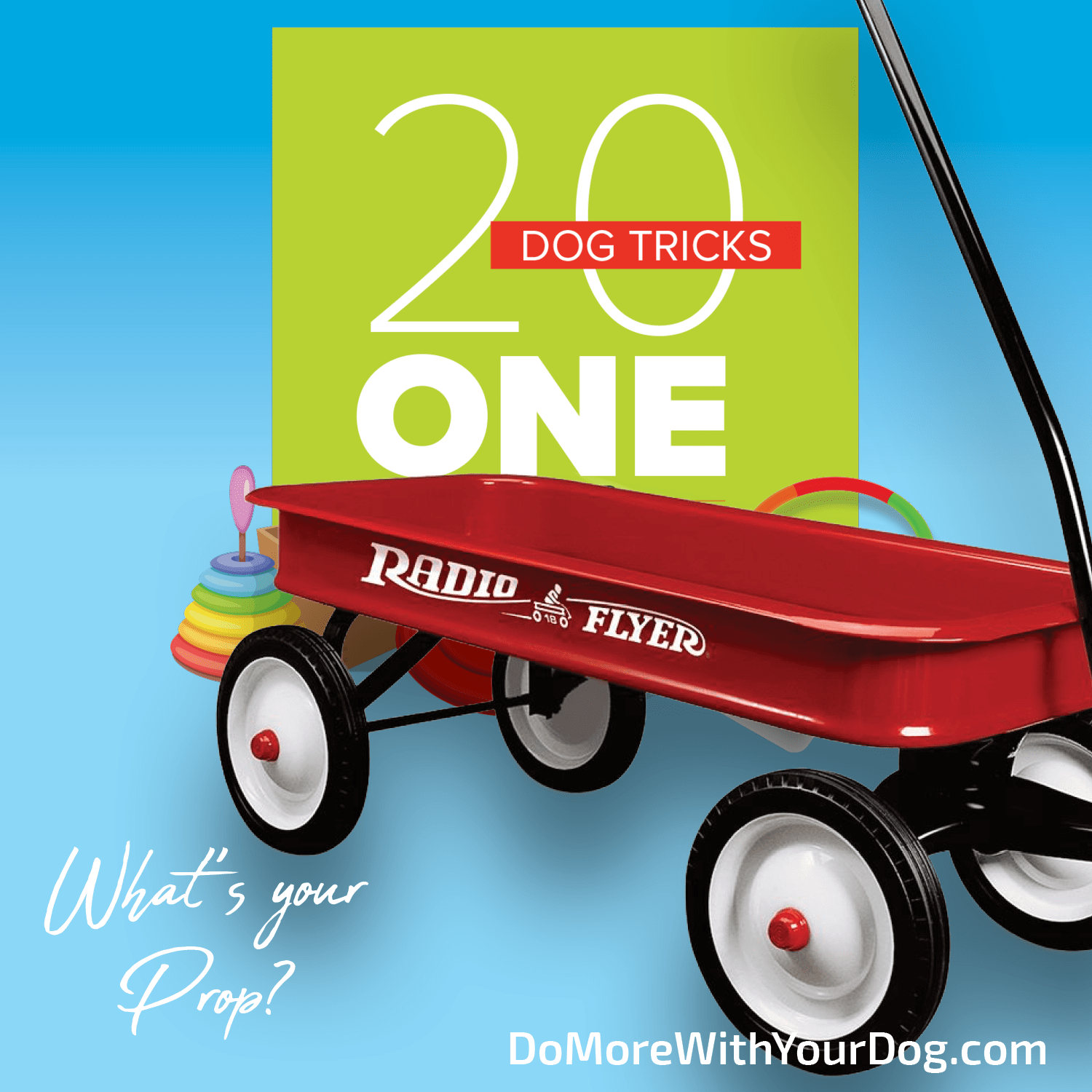 20 Dog Tricks: One Prop - Image 11