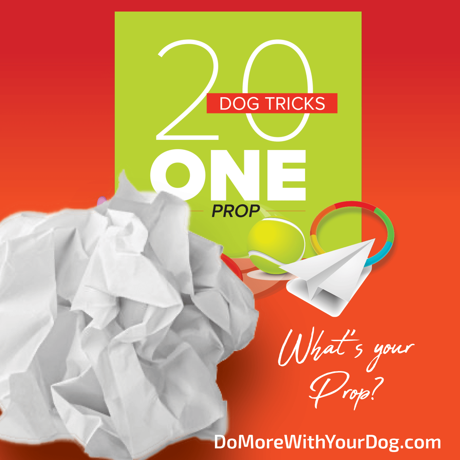 20 Dog Tricks: One Prop - Image 13