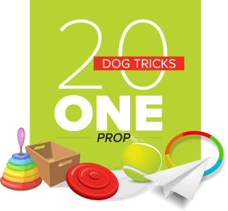 20 Dog Tricks: One Prop
