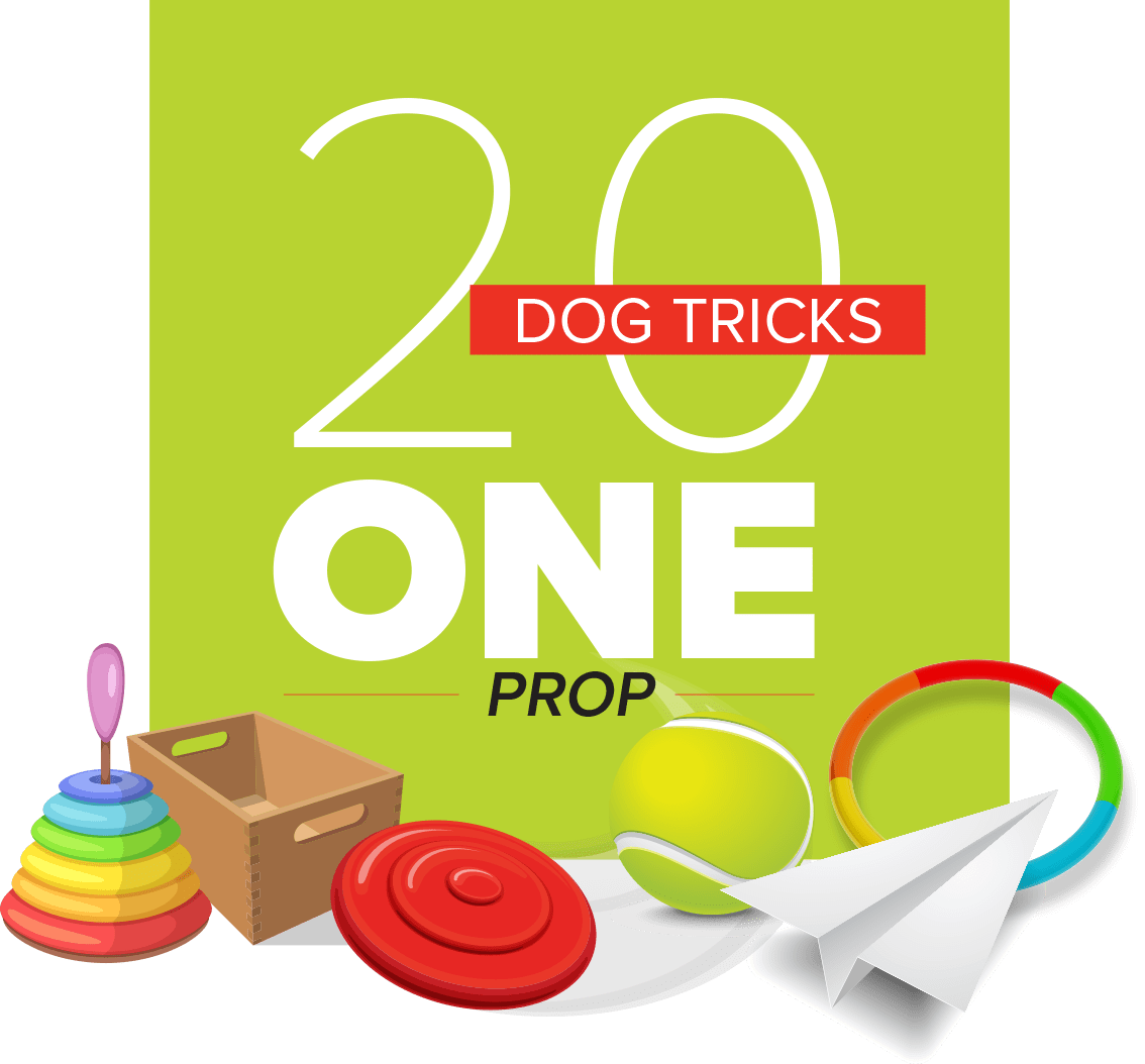 20 Dog Tricks: One Prop