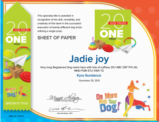 20:1 Hardcopy Certificate & Ribbon