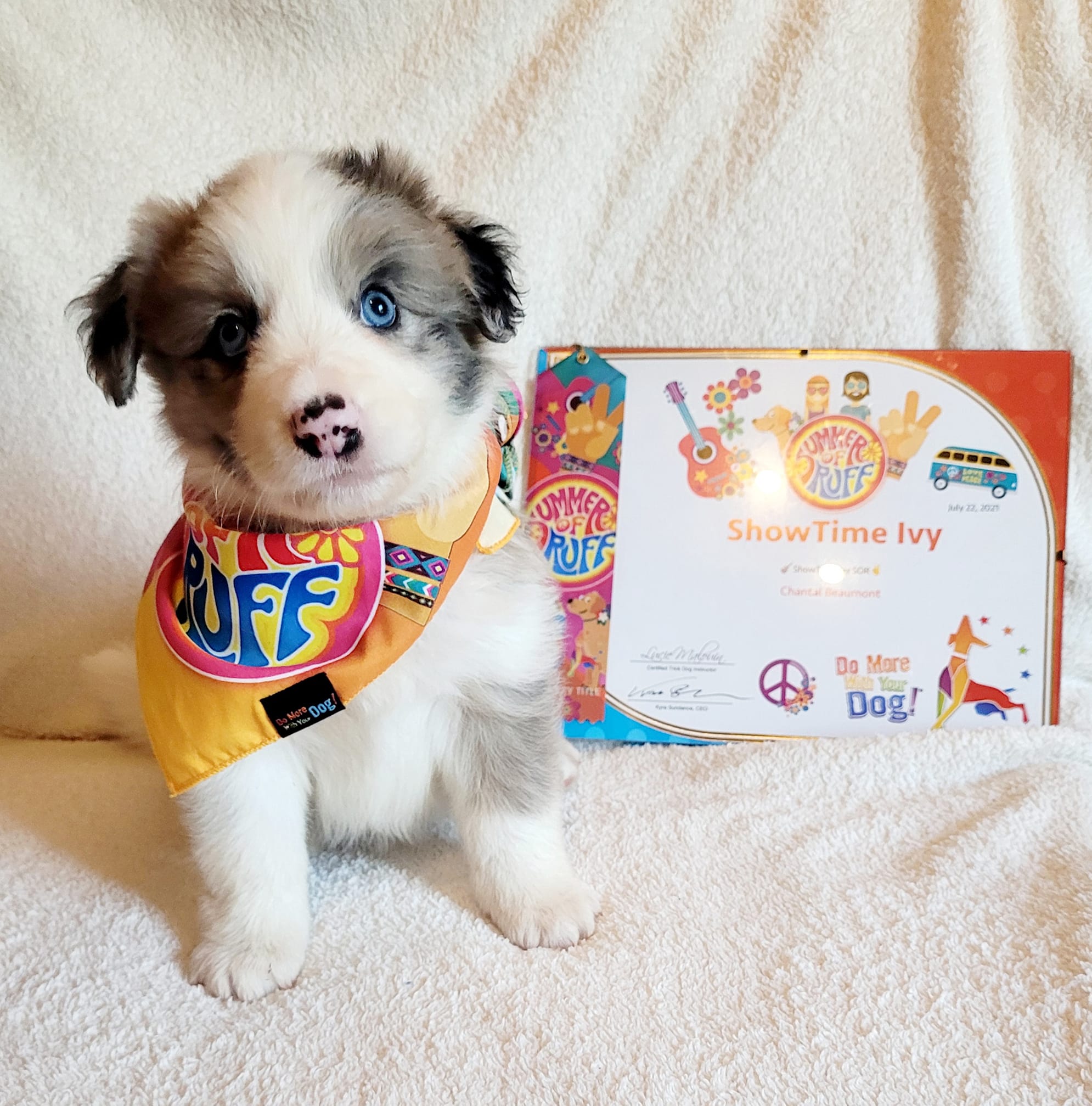 Summer of Ruff 2024 - Image 29