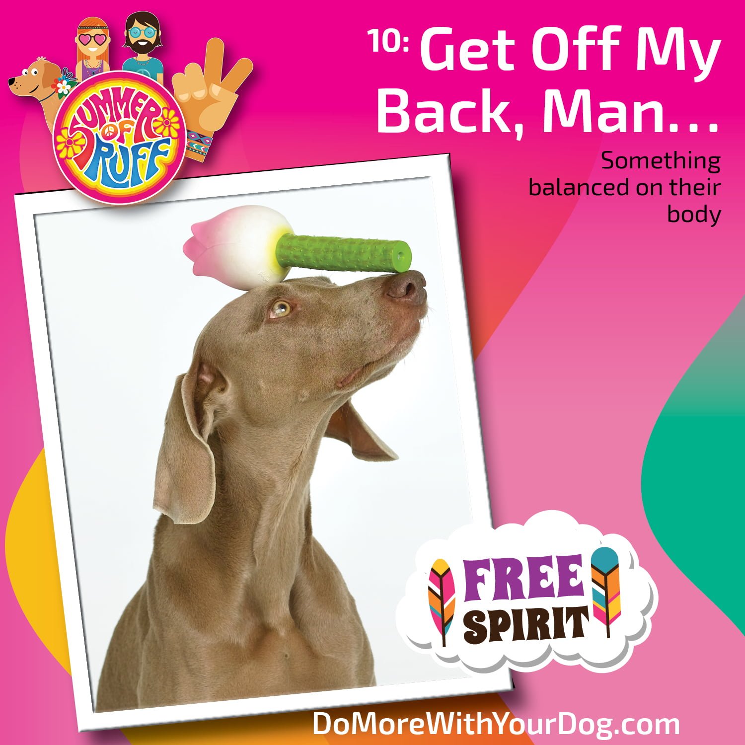 Summer of Ruff 2024 - Image 13