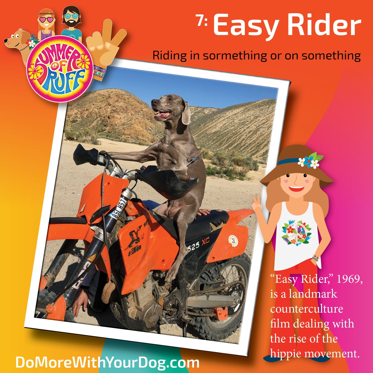 Summer of Ruff 2024 - Image 10