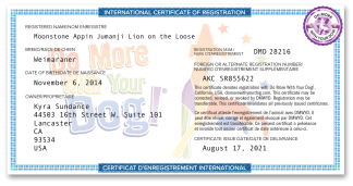 Request Title or Registration PDF (Free)