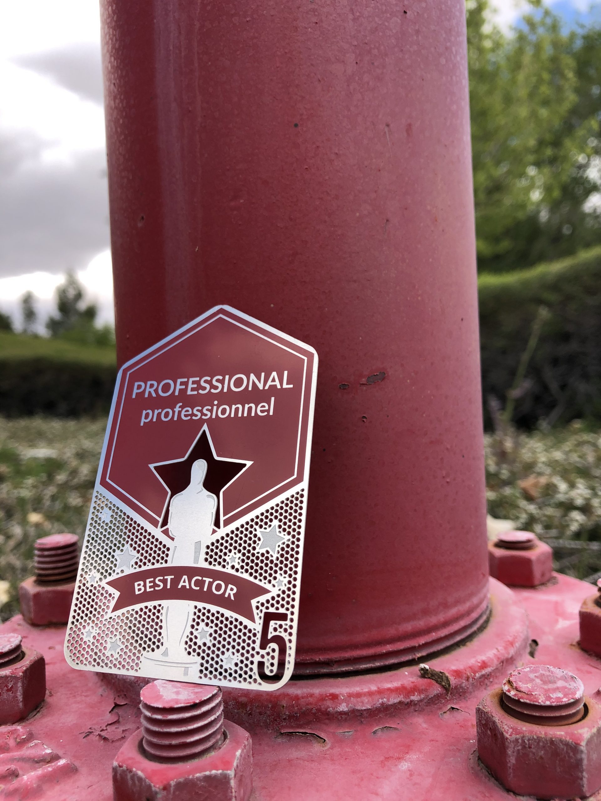 🎬Animal Actor Certification - Image 6